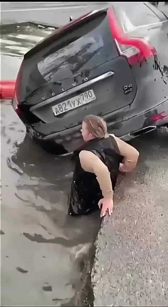 Умный водитель