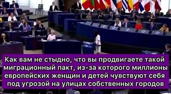 «Ваше место в тюрьме, а не в Еврокомиссии!»