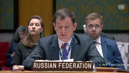 🇷🇺🇺🇳Из выступления Первого заместителя Постоянного представителя Д.А.Полянского на заседании Совета Безопасности ООН по Йемену