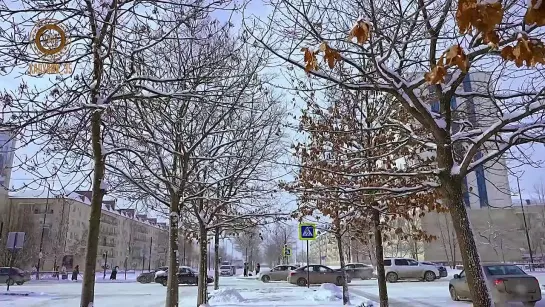 Video by Ramzan Kadyrov