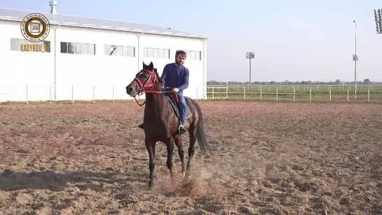 Video by Ramzan Kadyrov