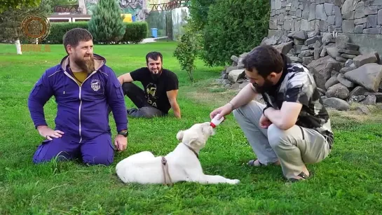 Video by Ramzan Kadyrov