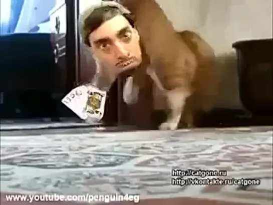 Кот ушёл Cat gone (полная версия))