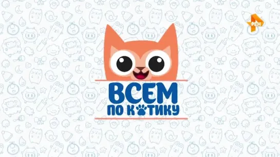 Всем по котику — Выпуск 20