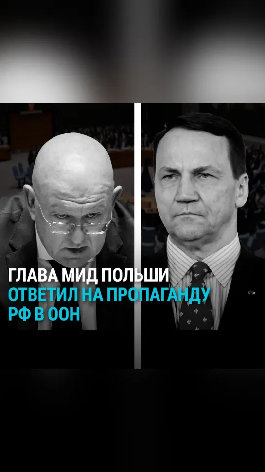 Глава МИД Польши ответил на заявление постпреда РФ в ООН Небензи о войне в Украине