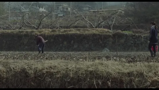 Одинокая корова плачет на рассвете / Chikan gifu: Musuko no yome to... / A Lonely Cow Weeps At Dawn