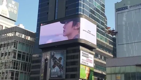 LED at Gangnam