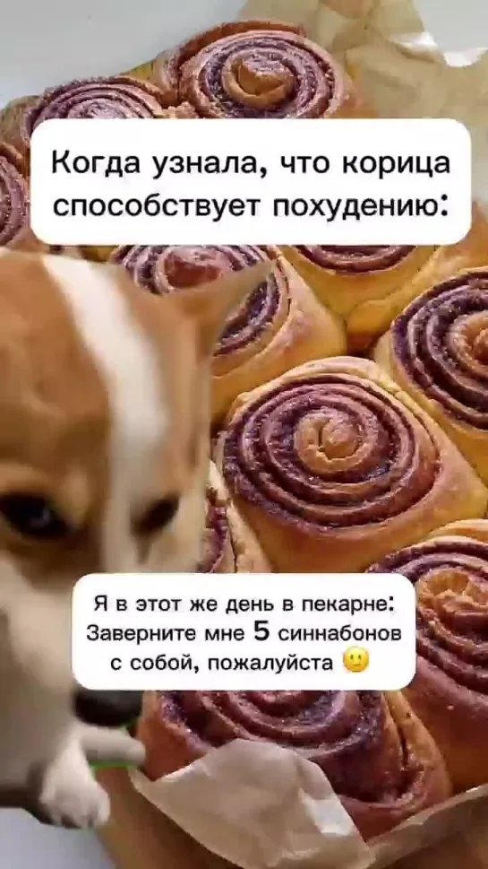 залог успеха