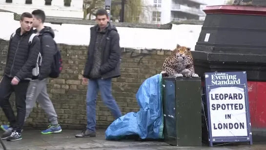 LEOPARD PRANK! - In Camden Town!