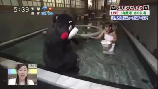 kumamon raspoyasalsya