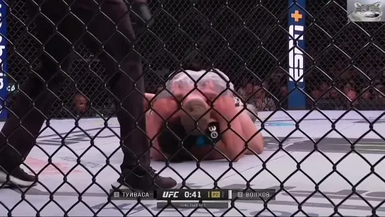 Видео финиша Волкова на UFC293