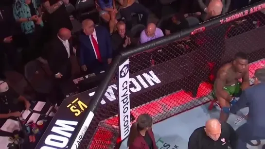 Финиш Бо Никала на UFC290