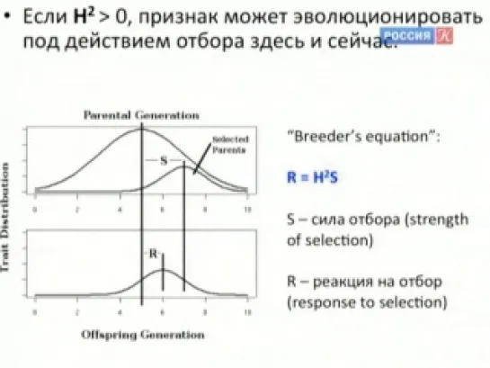 Александр Марков. "Ген человечности". 2-я лекция. Как гены влияют на наше поведение (психогенетика)