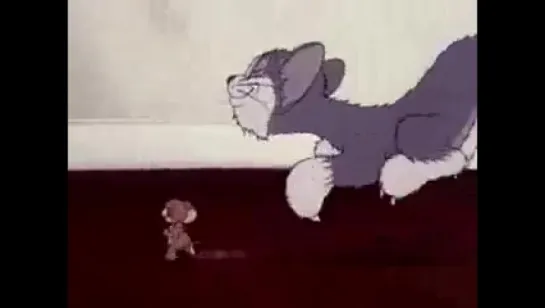 Tom and Jerry, Volume 4 (1930-1953)