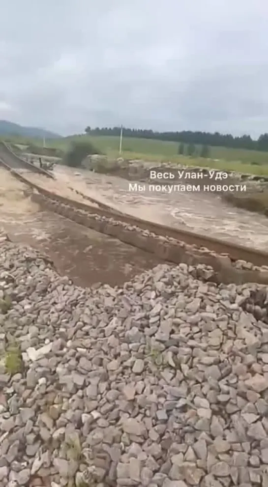 Video by RTVI