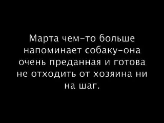 Миниатюрная кошечка Марта в поисках дома! (Москва/Россия)