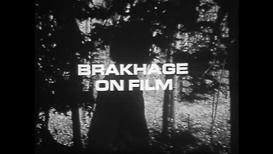 Brakhage on Film (1965) dir. Arnold Gassan