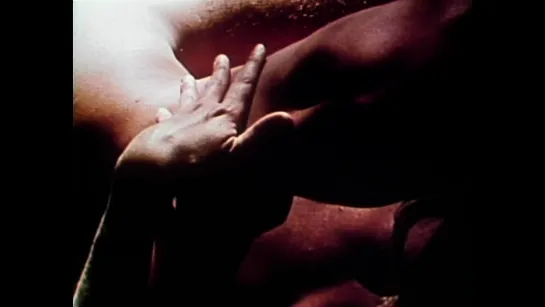 Short Films: 1975 No. 9 Forest Love Scene (1975) dir. Stan Brakhage