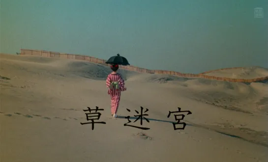 Лабиринт травы / Grass Labyrinth / Kusa meikyu (1979) dir. Shūji Terayama [1080p] (RUS SUB)