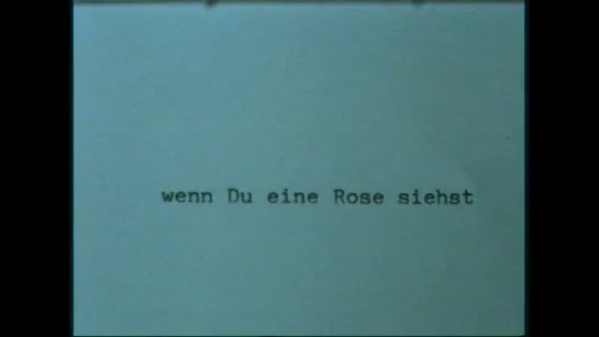 When You See a Rose / Wenn du eine Rose siehst (1995) dir. Renate Sami