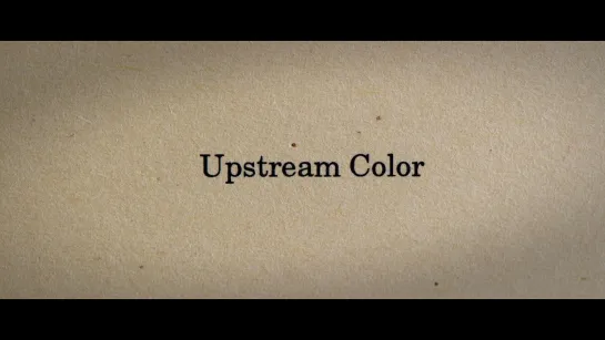 Примесь / Upstream Color (2013) dir. Shane Carruth [1080p] (RUS SUB)