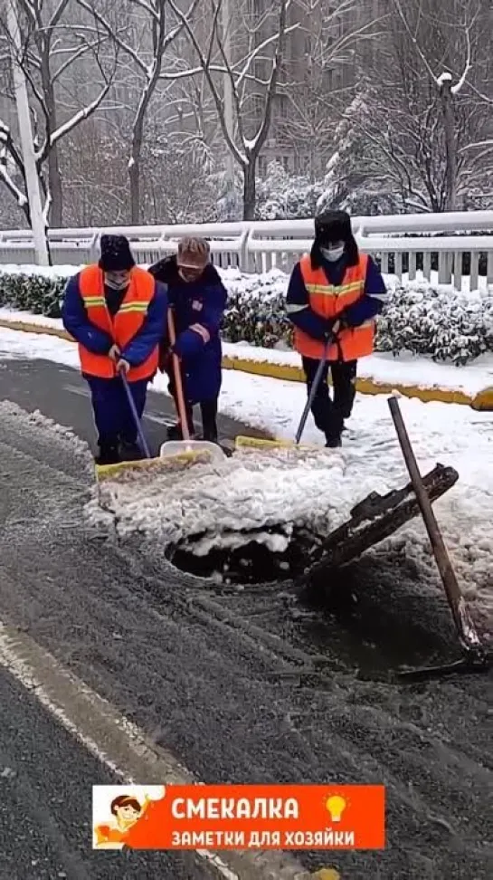 Все профессии нужны и важны.