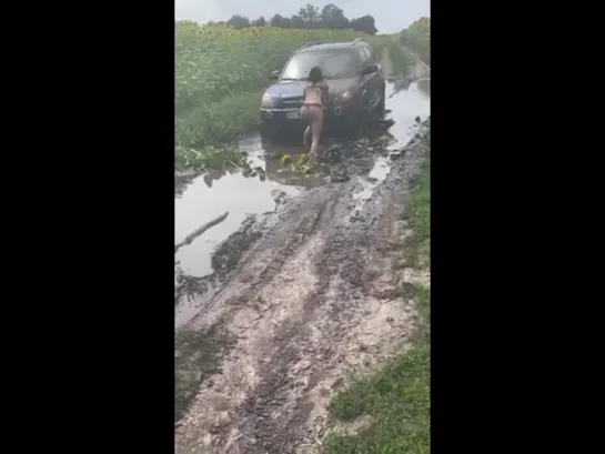 Приехали девчонки пофоткаться в подсолнухах -- Идеи для сада | дача | ландшафт| огород