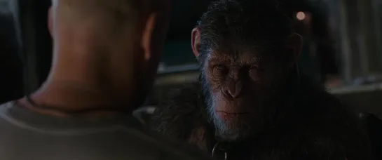 Планета обезьян: Война / War for the Planet of the Apes (2017) 18+