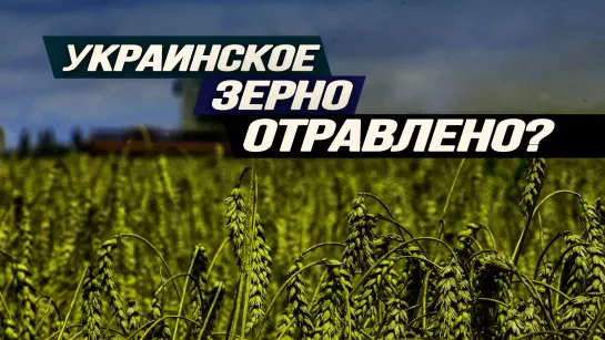 Путин сделал подарок Вашингтону, США кинет Израиль, а также почему на самом деле протестуют фермеры? Игорь Нагаев