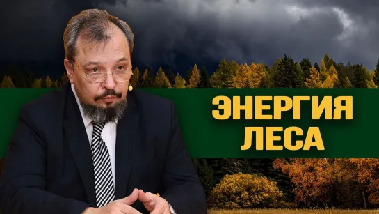 В России создают новый вариант тепловой энергетики. Борис Марцинкевич