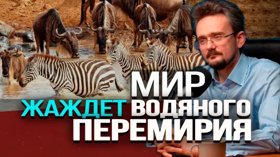 Глобализм по правилам Китая, мир панрегионов, и почему надо сохранить ООН. Андрей Школьников