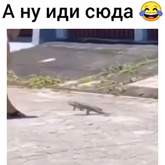 Ану иди сюда)