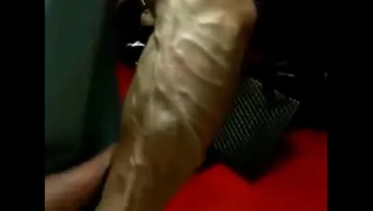 Veins on muscle body