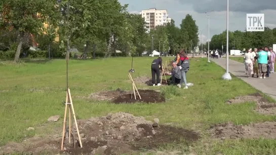 2023-05-30 Акция по посадке деревьев в парке "Прибрежный"