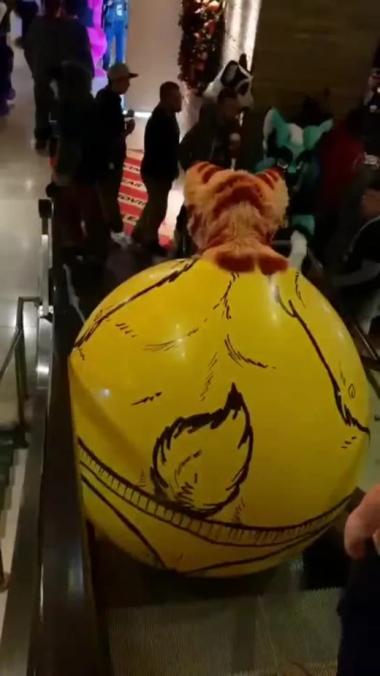 HE FIT ON THE ESCALATOR - - MFF is very good