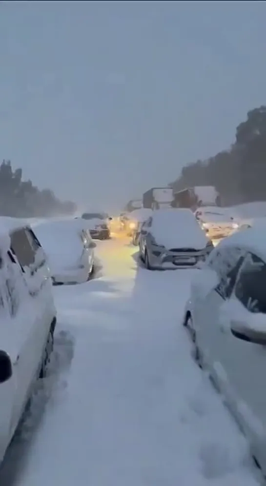 Много лет не видели снега, и вот опять