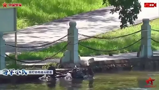 Robot pájaro biónico de reconocimiento en servicio con la Infantería de Marina de la Armada de la República Popular China