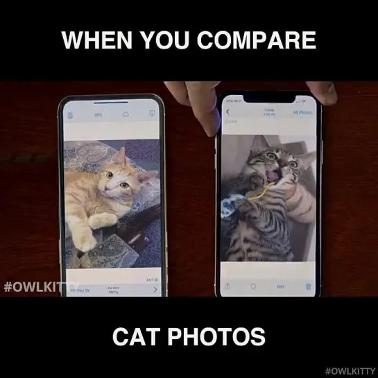 OwlKitty when you compare cat photos сравниваете фотки кошек Американский психопат (American Psycho, 1991) сцена с визитками