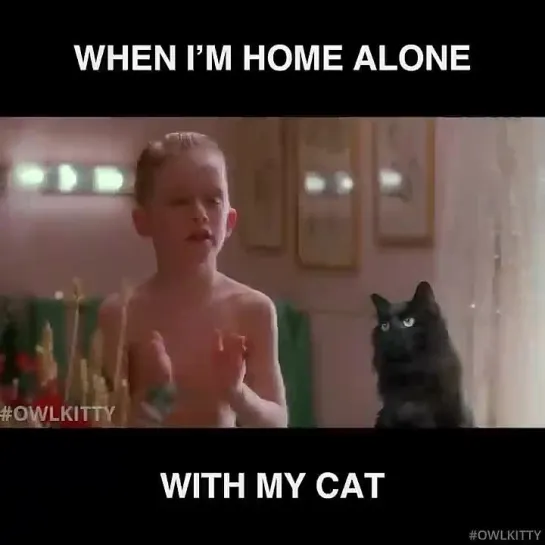 Один дома с моим котом (1990) When i'm Home Alone  with my cat OwlKitty