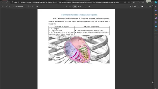 Новая методика лечения тела через трабекулярную систему сердца