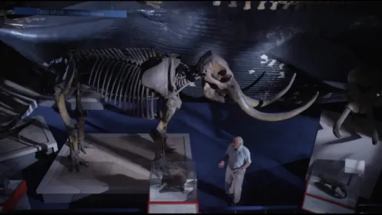 Оживший Лондонский Музей Естествознания с Дэвидом Аттенборо. (David Attenborough's Natural History Museum Alive)