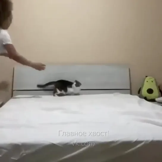 Стелить кровать с котом, это всегда занимательно 😸