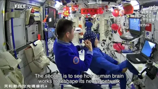 Chinas EEG Testing Platform to Help Investigate into Human Brain Development in Space