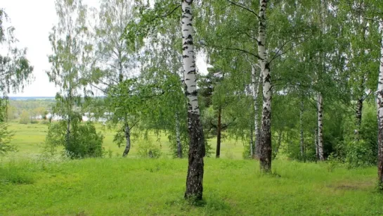 Родина Поет С.Я. Лемешев