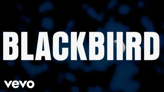 BLACKBIIRD Official Lyric Video