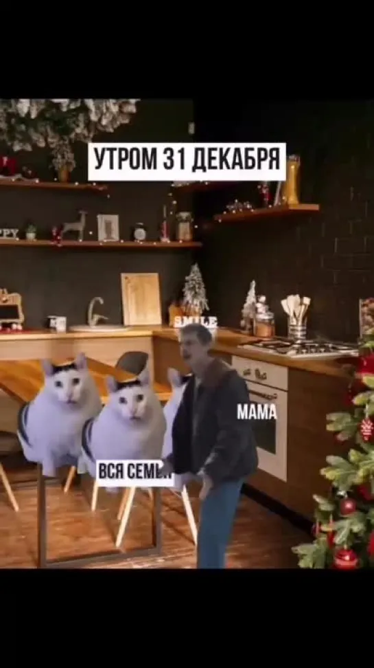 Video by Мемы на все темы