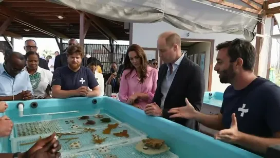 William and Kate Plant Coral in Bahamas