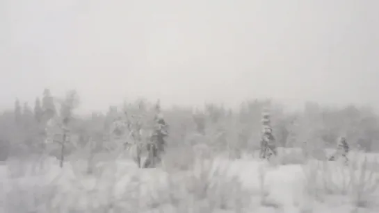 Королевские репортеры из Осло