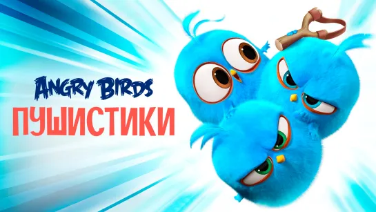 Angry Birds. Пушистики 1 сезон (Сборник серий)