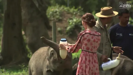 William and Kate feed endangered rhinos to raise awareness of their plight at India's Kaziranga Nat'l Park.